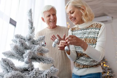 Bir çift yaşlı süveter içinde yeni yılı evde kutluyor ve ağacı süslüyorlar. Gri saçlı yaşlı büyükbaba ve karısı Noel için evi hazırlıyorlar.