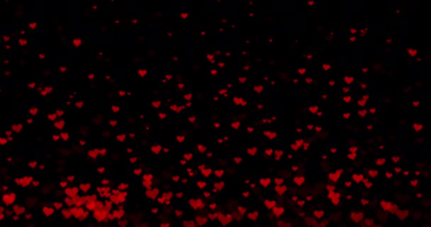 Wiele Czerwonych Serc Unosi Się Unosi Płynna Animacja Pętli Kanałem — Wideo stockowe