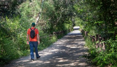 Bir adam güneşli bir günde ormanda bir patika boyunca yürüyor.