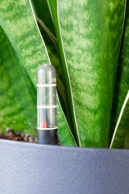 Su seviyesi göstergesi ile otomatik sulama sistemi ekme kabını kapat