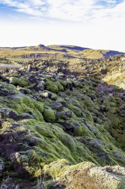 Ortasında büyük bir kaya olan bir dağ sırası. Dağ yosunlarla kaplı ve kaya da yosunlarla kaplı.