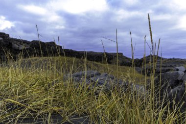 Arka planda bulutlu bir gökyüzü olan uzun bir çimen tarlası. Yerde volkanik kayalar var.