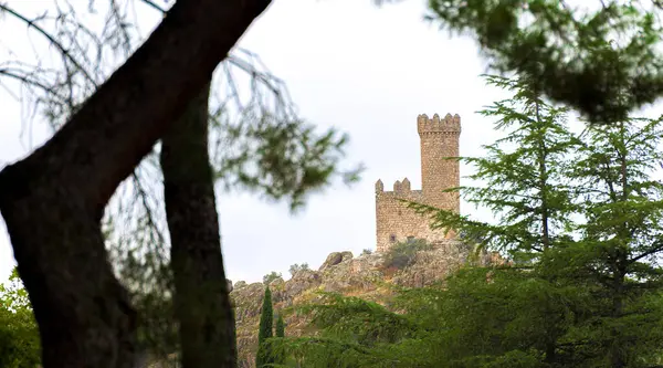 Torrelodones, Madrid 'deki bir ormanın arkasında ortaçağ gözetleme kulesi görülüyor. Kale eski ve taş bir yapıya sahip. Ağaçlar uzun ve yeşil ve gökyüzü bulutlu. Sahne huzurlu ve huzurlu.