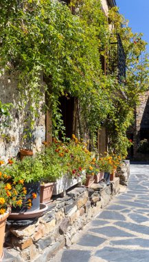 Balkonlu tuğla bir duvar ve bir sıra saksı bitkisi. Bitkiler farklı boyutlarda ve renklerde, ve bir denge ve uyum hissi yaratacak şekilde düzenlenmişler.