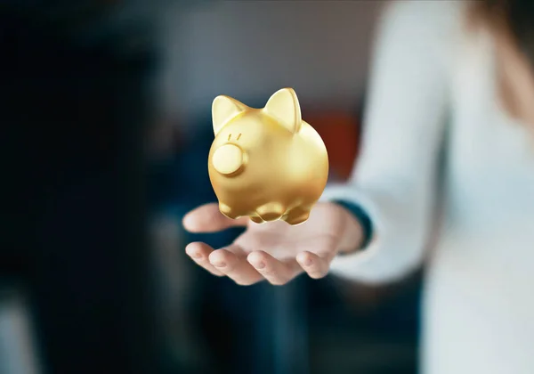 Womens Hands Carefully Hold Piggy Bank Preserve Wealth Savings Financial Royalty Free Stock Photos