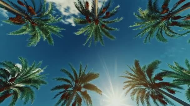 Przejeżdżam Przez Beverly Drive Los Angeles Kalifornia Palmy Przeciw Letniemu — Wideo stockowe