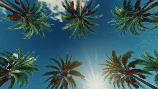 Przejeżdżam Przez Beverly Drive Los Angeles Kalifornia Palmy Przeciw Letniemu — Wideo stockowe