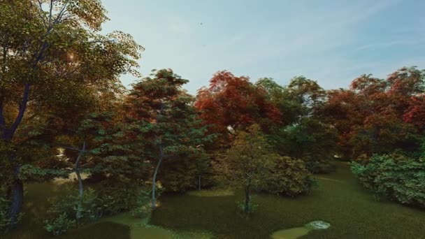 一年を通して森の中で変化する季節の時間の経過 プロフェッショナル シネマティック4K 3Dアニメーション シームレスなループ — ストック動画