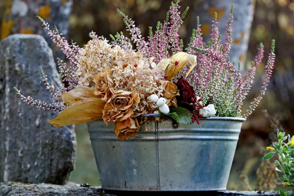 Сушеные Цветы Калуна Горшке — стоковое фото