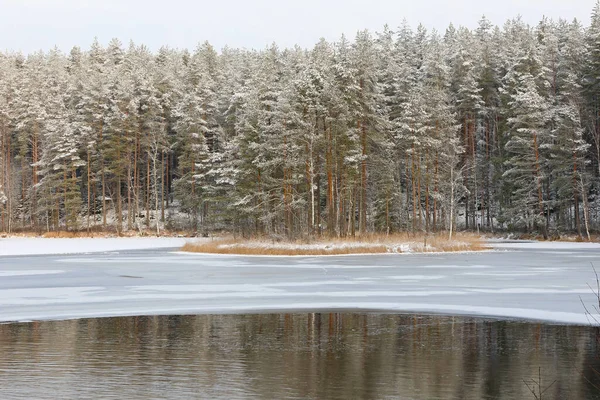 Winter Day Freezing Lake — Stock Photo, Image
