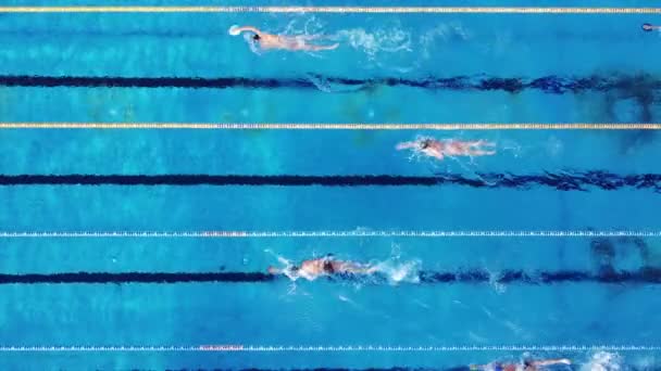 一组游泳运动员在室外游泳池顶部空中观看训练 — 图库视频影像