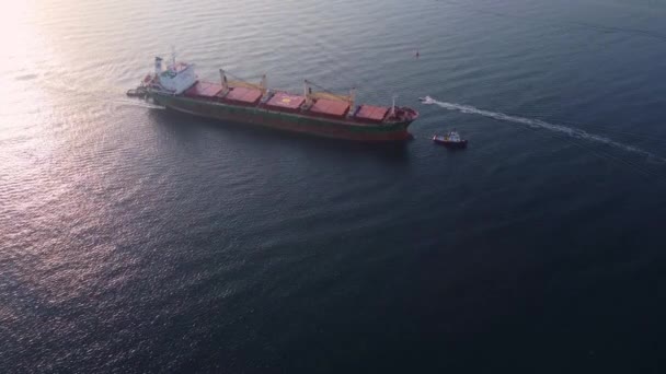 Вид Зверху Буксирний Човен Допомагає Великому Вантажному Кораблю Великий Корабель — стокове відео