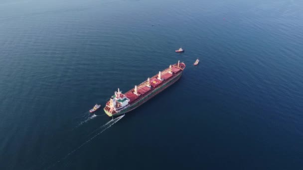Légi Felvétel Egy Vontatóhajóról Amely Nagy Ömlesztettáru Szállító Teherhajót Segít — Stock videók