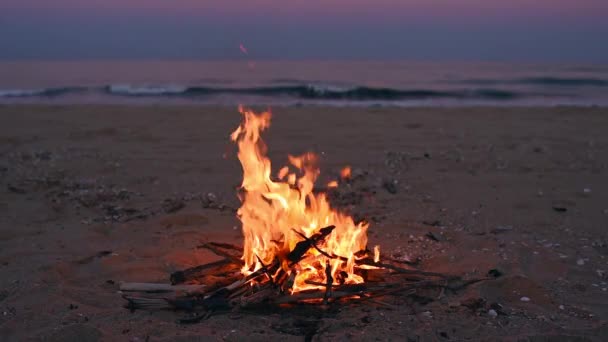 有美丽日落或日出的海滩篝火 — 图库视频影像