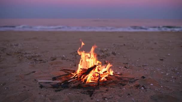 Sahil Kamp Ateşi Güzel Gün Batımı Gün Doğumu — Stok video