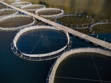 Bulgaristan 'da nehir havası manzaralı alabalık çiftliği