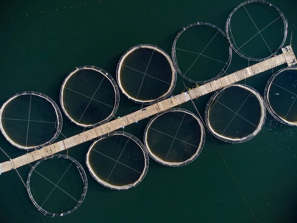 保加利亚河流空中俯瞰的鳟鱼养殖场 — 图库照片