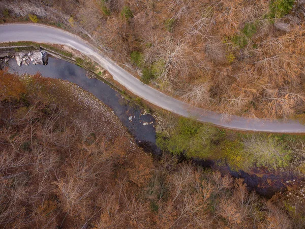Luftaufnahme Eines Herbstwaldes Durch Den Eine Kurvenreiche Straße Den Bergen — Stockfoto