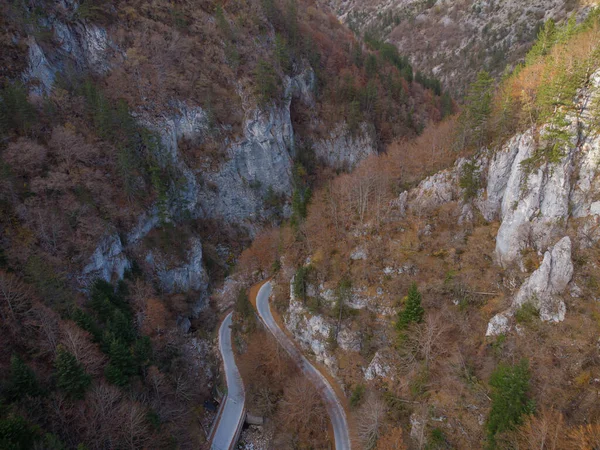 Aerial Top View Autumn Forest Which Winding Road Passes Mountains — Stock Photo, Image