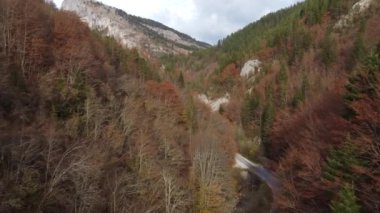 Dağlarda dolambaçlı bir yolun geçtiği bir sonbahar ormanının havadan görünüşü.