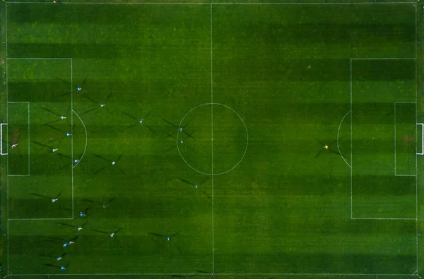 Αεροφωτογραφία Ενός Ποδοσφαιρικού Αγώνα Ποδοσφαίρου Γήπεδο Ποδοσφαίρου Και Ποδοσφαιριστές Από — Φωτογραφία Αρχείου