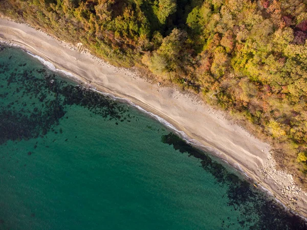 Vista Aérea Superior Drone Bela Praia Selvagem Bulgária Outono — Fotografia de Stock