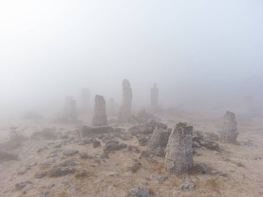 Bulgaristan 'ın Varna kentinde sabah sisinde Taş Ormanı Pobiti Kamani