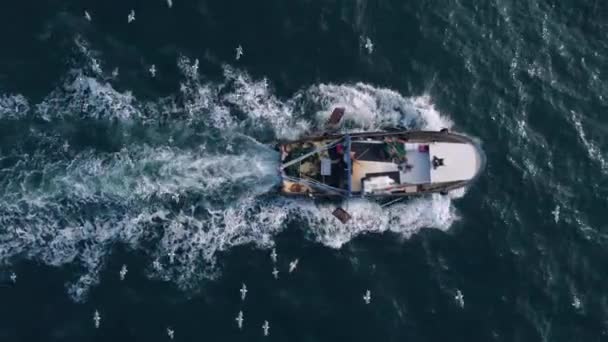 Fishing Vessel Boat Floating Blue Sea Aerial Top View Drone — Stock Video
