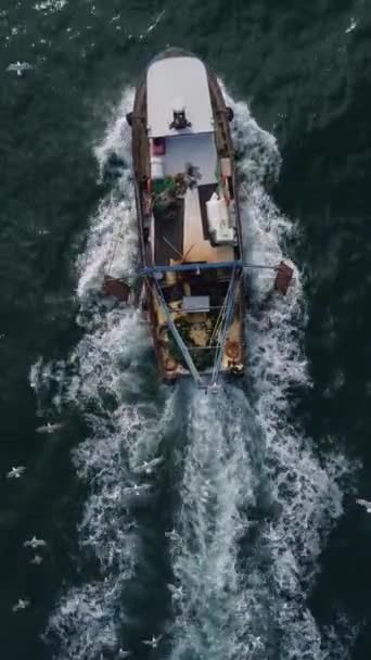 Barco Pesquero Flotando Mar Azul Vista Aérea Desde Dron — Vídeo de stock
