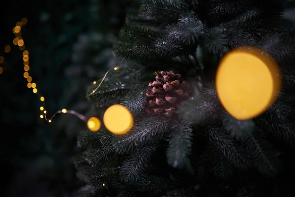Vánoční Strom Větve Jedlí Kužel Rozostřené Věnec Světla Detailní — Stock fotografie
