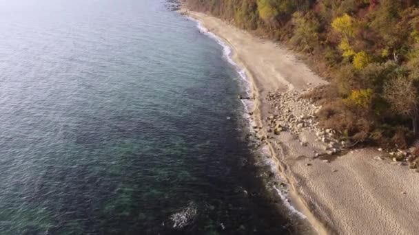 Vista Aérea Superior Drone Bela Praia Selvagem Bulgária Outono — Vídeo de Stock