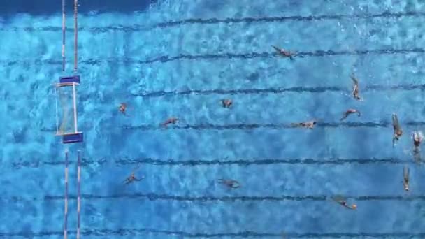 Luchtdrone Top Zicht Zwembad Met Atleten Die Waterpolo Trainen — Stockvideo
