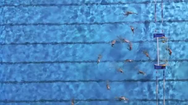Воздушный Беспилотник Сверху Вид Бассейн Спортсменами Тренирующими Водное Поло — стоковое видео