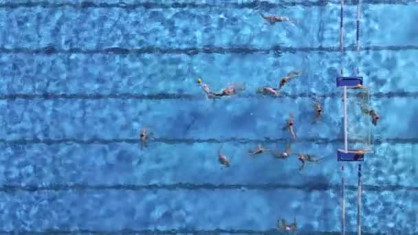 Luchtdrone Top Zicht Zwembad Met Atleten Die Waterpolo Trainen — Stockvideo