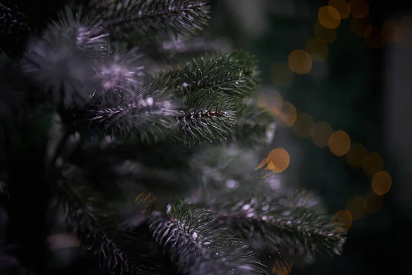Christmas Tree Branches Fir Cone Defocused Garland Lights Closeup — Stock Photo, Image