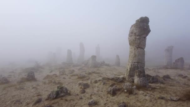 Πέτρινο Δάσος Pobiti Kamani Στην Πρωινή Ομίχλη Βάρνα Βουλγαρία — Αρχείο Βίντεο