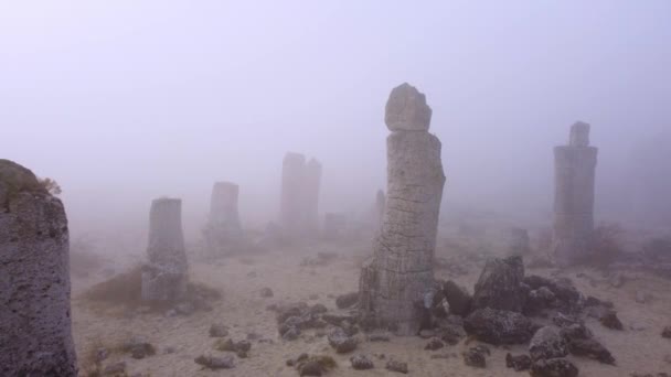 Каменный Лес Побити Камани Утреннем Тумане Варна Болгария — стоковое видео