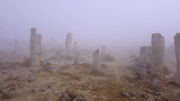 Forêt Pierre Pobiti Kamani Dans Brouillard Matinal Varna Bulgarie — Video