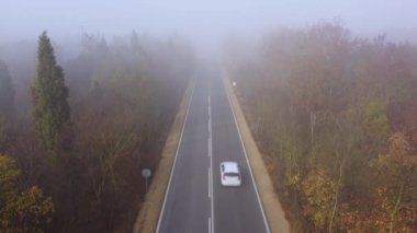 Asfalt karayolu sonbaharda sisli bir orman havası manzaralı.