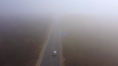 Asfalt karayolu sonbaharda sisli bir orman havası manzaralı.