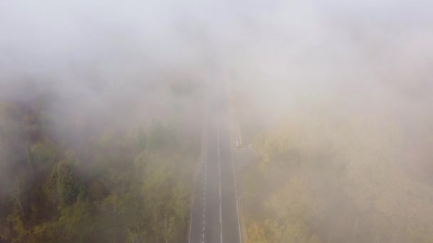 Ασφαλτοστρωμένος Αυτοκινητόδρομος Φθινοπωρινή Ομίχλη Δάσος Εναέρια Κάτοψη — Αρχείο Βίντεο
