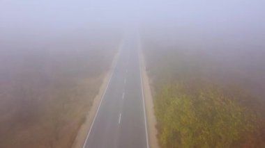 Asfalt karayolu sonbaharda sisli bir orman havası manzaralı.