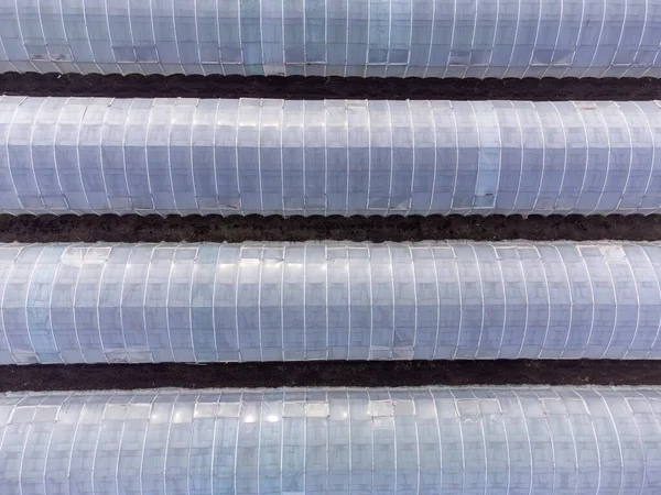 Greenhouses lined up in row covered with transparent plastic film aerial top down view.