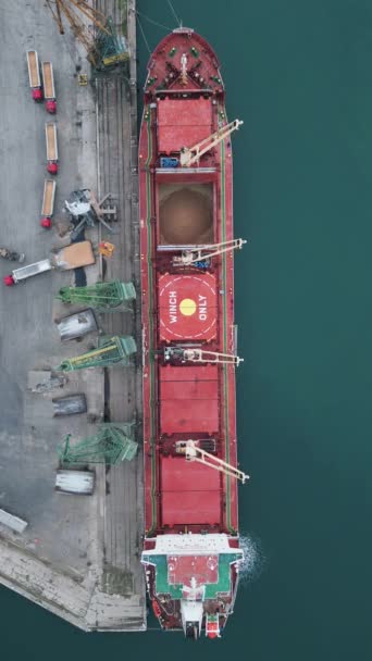 Büyük Kargo Gemisinin Hava Görüntüsü Limandaki Buğday Taneleriyle Dolu — Stok video