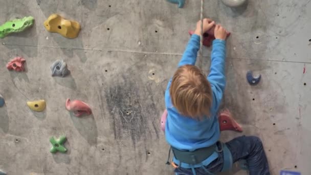 Čtyřletý Chlapec Šplhá Lezeckou Umělou Zeď Hale — Stock video