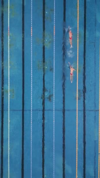一组游泳者在室外游泳池顶部接受训练 — 图库视频影像
