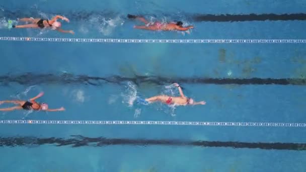Ομάδα Κολυμβητών Που Εκπαιδεύονται Εξωτερική Πισίνα Πανοραμική Θέα — Αρχείο Βίντεο