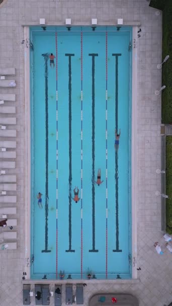 在一个公众游泳池的空中观看 人们在一个美丽的天气里游泳 — 图库视频影像