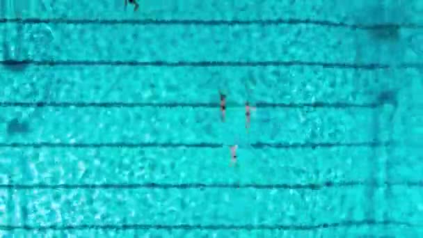 Grupa Pływaków Trening Odkrytym Basenie Anteny Góra Dół Timelapse Wideo — Wideo stockowe
