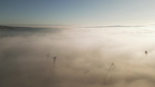 Lot Dronem Nad Żurawiami Portowej Strefie Przemysłowej Wczesnoporannej Mgle — Wideo stockowe